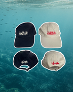 *PRE ORDER* Dad Cap - Organic Cotton