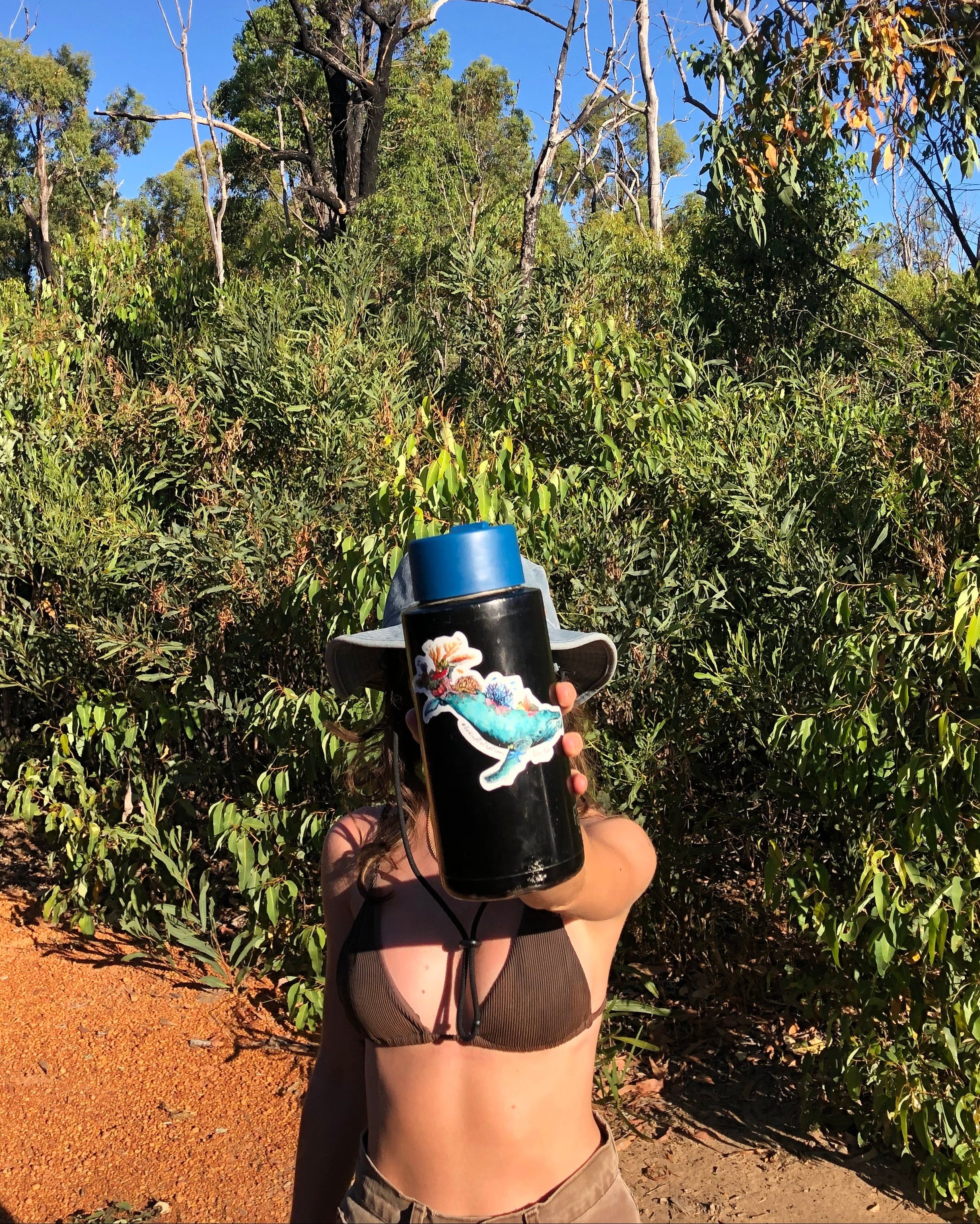 Reef Guardian Sticker